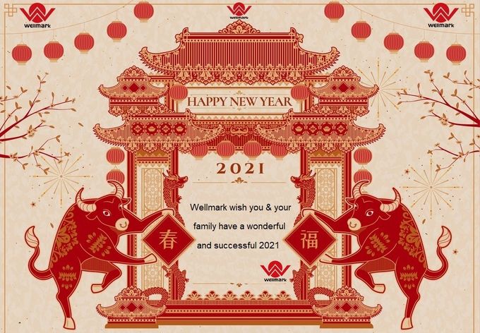 latest company news about Happy New Year wishes from Wellmark !  0